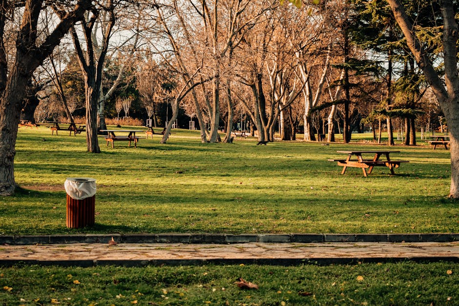 A park scene featuring a well-maintained grassy area with several wooden picnic tables and benches scattered throughout. Mature trees with bare branches, occurring in autumn or winter, line the backgr